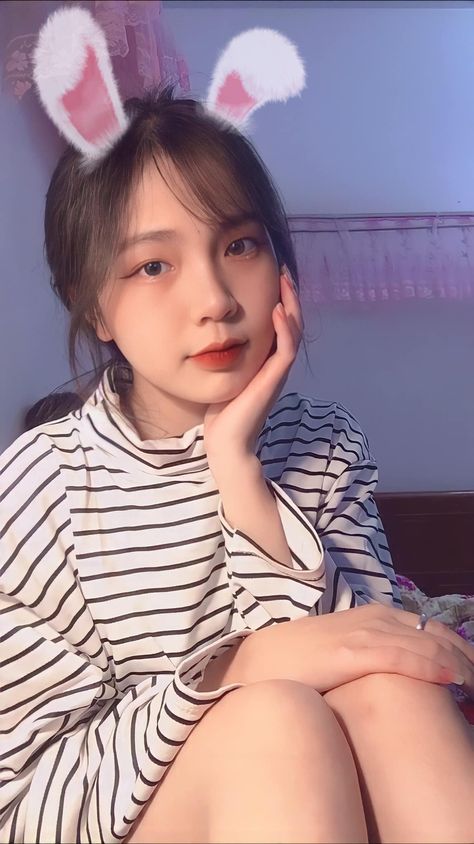 丁导满天星嚎叫